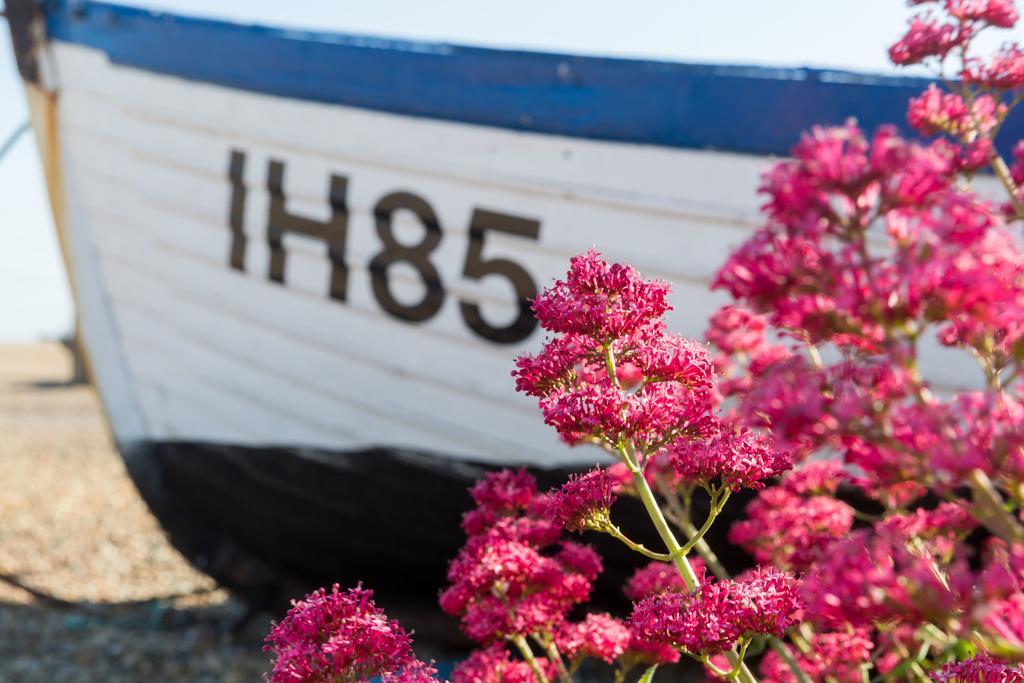 The Brudenell Otel Aldeburgh Dış mekan fotoğraf